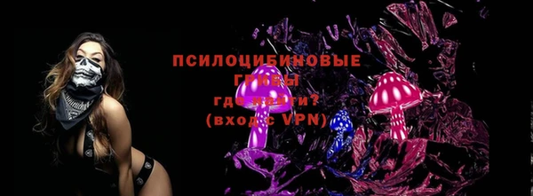 кокс Бородино