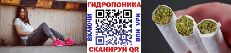 Конопля план  Купить где  Лукоянов 